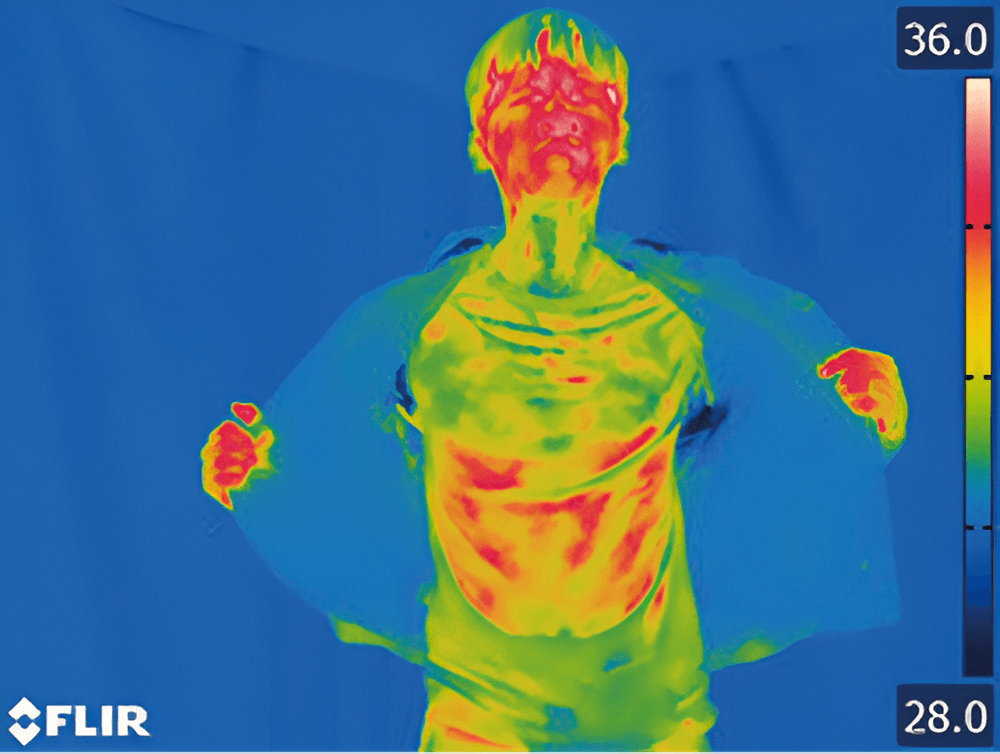 Thermal infrared body temperature scan of a person wearing a blue garment, with a FLIR logo and a color scale on the bottom left and right.